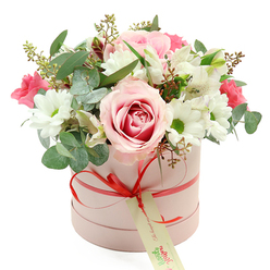 A chic, round hatbox bouquet is showcased against a bright, uncluttered white background, its soft pastel tones and polished finish echoing the calm elegance of Stanmore's tree-lined streets. The cylindrical box is a delicate matte pink, with a smooth texture that subtly catches the light. A slim coral-red satin ribbon wraps around the base, brought together at the front in a compact, well-formed bow. From the bow hangs a cream gift tag, its green lettering and small web address hinting at a bespoke delivery service rather than a spur-of-the-moment purchase. Rising generously above the rim, the flowers form a lush, domed arrangement that feels both modern and romantic. A fully open, bi-colour pale pink rose commands attention at the front, its outer petals softly tinted and its centre spiral enriched with deeper pink tones. Encircling this focal bloom, white daisy chrysanthemums with vivid green centres add brightness and a friendly, familiar charm. Threaded through are elegant white alstroemeria, their petals finely speckled, giving a sense of delicacy and movement. Among these are clusters of smaller deep pink or fuchsia blooms, likely spray roses or lisianthus, which inject a dynamic, jewel-like colour contrast. The greens are thoughtfully composed: rounded, silver-green eucalyptus leaves lend a contemporary feel and airy structure, while darker green foliage and tiny green buds provide density and texture. The clean studio lighting ensures true-to-life colour and clear detail, with minimal shadow and maximum freshness. The result is a balanced, sophisticated arrangement that would suit a birthday breakfast table on Marsh Lane, a quiet anniversary dinner near Stanmore Hill, or a thoughtful get well soon gesture for a neighbour, conveying care without feeling overly formal.