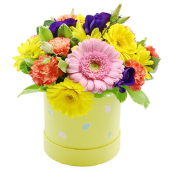 An elegant yet playful Easter hatbox bouquet is displayed against a crisp white background, its colours capturing the fresh, hopeful feeling of springtime around Stanmore's parks and quiet avenues. The arrangement is shaped into a smooth, rounded dome, with no visible gaps, suggesting careful, professional craftsmanship. At the forefront is a prominent light pink gerbera daisy, its perfectly spaced petals forming a soft halo around a pale green centre, directing the viewer's attention immediately. Surrounding it, clusters of bright yellow chrysanthemums burst like mini suns, their fine, radiating petals giving the design a lively, cheerful tone. Among them, coral-orange carnations add warmth and volume, their ruffled petals forming rich layers that contrast beautifully with the cleaner lines of the gerbera. Deep violet to indigo-purple lisianthus flowers are tucked in at intervals, their velvety petals and deeper shade lending a sense of sophistication that feels at home in an elegant Stanmore sitting room. Fresh greenery winds between all the blooms, with some leaves touched by delicate white variegation along the edges, creating gentle highlights and a natural, garden-inspired texture. The flowers are arranged in a pastel lime-yellow cylindrical hatbox, its surface scattered with small, pastel-coloured Easter eggs in soft blue, pink, and white, some detailed with tiny dots and stripes. This decorative container adds a whimsical note while keeping the overall look neat and contemporary. The white background allows every colour to stand out clearly, from the cool violets to the warm corals and sunny yellows. Suitable as a seasonal gift, a get-well surprise, or a cheerful accent for a Stanmore office or home, this arrangement radiates optimism, celebration, and the quiet joy of new beginnings.