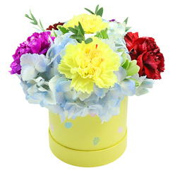 A cheerful, thoughtfully composed hatbox bouquet viewed slightly from above, where the blooms form a lush, rounded dome overflowing the rim of a pastel yellow cylinder. Two prominent, frilly lemon-yellow carnations anchor the center, their layered petals folding in soft waves and catching the light so they seem to glow from within. To their left, a bold magenta carnation introduces a jewel-like intensity, while a sumptuous burgundy-red carnation on the right grounds the composition with depth and richness. Encircling these focal carnations are voluminous clusters of powdery periwinkle hydrangea; each cluster is made of many small florets, some tipped in palest blue or white, producing a soft, clouded texture that contrasts with the carnations' sculptural ruffles. Delicate strands of green foliage thread between the flowers, adding freshness and airy separation so each color reads clearly. The paperboard box itself is a warm, buttery yellow and bears whimsical pastel dots-light blue, blush pink, mint green-with tiny white speckles that give the presentation a playful, almost vintage teacup charm. There's a subtle scent of spice and honey from the carnations mingling with the faint, damp-earth freshness of hydrangeas, and the overall effect is bright, affectionate, and quietly celebratory. As a Stanmore florist would arrange for a Mother's Day table or a cheerful anniversary delivery, this compact design reads as both premium and honest-appropriate for leaving with a neighbour after a walk around Canons Park or for sending as a sunny, hand-tied surprise to someone near Stanmore tube.