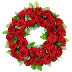 In my Stanmore studio, this crimson wreath feels ceremonial and intimate at once. A ring of deep red roses dominates the frame, densely packed so their velvety petals create a living tapestry. The blooms rest in various stages of bloom-tight buds hinting at future glory, open petals revealing folds and shading that range from ruby to wine-catching the light and lending depth. Framing the roses is a veil of green sprigs: matte eucalyptus-like leaves and glossy ruscus, softening the red with a fresh, natural glow. The circle is perfect, suggesting eternity and continuous remembrance. The arrangement is full and opulent but never cluttered, a testament to careful balance and skilled handwork. Against the white background, every detail stands clear-the satin sheen of petals, the tiny kinks in a leaf, the way the greens weave through the crimson. In Stanmore, these wreaths are a familiar sight at funerals, memorial services, and anniversaries of lives well loved, carried with quiet dignity to chapels and crematoriums alike. This piece speaks of sympathy and lasting connection, a symbol you would place to comfort family and friends. It's a gift of remembrance that travels well, available for thoughtful delivery across Stanmore and surrounding communities, keeping freshness and fragrance at the heart of the tribute.