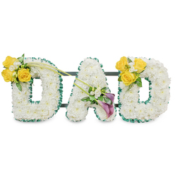 This carefully crafted sympathy tribute spells "DAD" in generous, rounded block letters, each letter made from a tight, plush bed of immaculate white spray chrysanthemums that give a velvety, uniform surface. Every letter is edged with a ruffled, dark green satin ribbon that provides a low, elegant contrast and precise outline against the white background, while slim dark-green metal bars run behind the trio to secure and align them as a singular display. On the upper left of the first 'D' a bright cluster of yellow roses-three to four fully opened blooms-sits with tiny white freesias and soft green foliage; two long, bare green stems rise and extend diagonally toward the centre, adding a graceful sweep that guides the eye inward. The central 'A' is punctuated on its lower diagonal by two stately deep purple calla lilies, their trumpet shapes introducing a strong, reverent focal point, surrounded by small white filler blossoms and glossy green leaves for softness. The right 'D' echoes the left with an identical sunlit yellow rose cluster, creating balanced symmetry. The composition carries a restrained, gentle perfume-citrus-laced roses, fresh green stems, and the light, clean undertone of chrysanthemum petals-suitable for a funeral chapel near Stanmore station or a memorial service at a local church. As a Stanmore florist, we shape tributes with care to convey respect, and this piece offers a calm, personal statement of love and remembrance for a beloved father.
