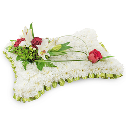 This rectangular sympathy cushion is crafted from hundreds of tiny, pristine white chrysanthemums so closely set they form a plush, tranquil surface suggestive of restful sleep. A soft, pale lime-green satin ribbon is pleated around the edge, offering a subtle, elegant border that lifts the composition and adds a gentle hint of colour without overpowering the white. Anchoring the design on the upper left is a carefully arranged spray: two white Oriental lilies open to reveal their pale yellow stamens and a companion closed bud for vertical grace, contrasted by clusters of deep burgundy spray carnations which provide a warm, solemn counterpoint. Behind and between those blooms sits a mixture of lush green foliage, including delicate fern fronds and glossy salal leaves, giving the piece depth and varied texture that reads as organic and reassuring. A slender, arching loop of green leaf or decorative wire extends from the left cluster across the chrysanthemum field and finishes at the pillow's right side where a single deep red rosebud rests, its petals tightly held as a quiet symbol of lasting love and remembrance. The composition feels composed yet natural, its colours and lines guiding the eye with an elegance befitting a funeral service, memorial or wake. Seen in soft daylight or under subdued chapel lighting, the white chrysanthemums seem to glow, the green ribbon catching highlights, and the burgundy carnations and rose offering notes of warmth and sorrow. Offered for local delivery across Stanmore and nearby streets such as Stanmore Broadway, it's a comforting, traditional expression of sympathy.