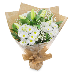 This image shows a beautifully composed sympathy bouquet set against a spotless white background, allowing the subtle details of each flower to come through clearly. The main impression is of pure white daisy-like chrysanthemums, gathered in generous clusters that form a rounded, comforting mound of petals. Each bloom shows a distinct yellow-green centre, small and bright, giving a touch of warmth that prevents the arrangement from feeling stark. Rising above and between the daisies are several elegantly closed lily buds, their smooth, elongated petals shaded from soft green at the base to creamy white towards the tips, suggesting the gentle unfolding of life and memory. Delicate threads of white gypsophila, or baby's breath, weave in and out among the larger flowers, their tiny blossoms adding a misty overlay that lightens and softens the whole design. Deep green foliage encircles the bouquet, the leaves full, glossy, and slightly curved, offering structure and a serene contrast that makes the white blooms appear especially clean and peaceful. The stems are wrapped in rustic brown kraft paper, creased and folded into a tidy, conical shape that feels both natural and refined, as if prepared by a careful florist just off The Broadway in Stanmore. A clear layer of cellophane surrounds the paper, catching a faint sheen of light and keeping the arrangement secure for delivery to local homes and churches. Gathered and tied neatly at the base, the bouquet looks ready to be placed on a side table, near a framed photograph, or at a memorial service, where it would quietly express condolence, remembrance, and a sense of calm presence within the Stanmore community.