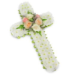A large, elegant funeral cross composed entirely of fresh blooms is shown against a spotless white background, the faint drop shadow suggesting its solid, three-dimensional build. The base of the cross is thoroughly hidden beneath a thick covering of white button chrysanthemums, each small flower snugly tucked against the next so that the entire surface appears as one continuous cushion of white. This dense blanket of petals conveys serenity, purity, and a gentle, contemplative mood. Tracing the outer edge of the cross, a slim lime green ribbon offers a discreet but distinct border, the cool green hue outlining the shape and adding a hint of liveliness without disturbing the overall calm. At the meeting point of the cross's arms and central stem, a cluster of roses becomes the visual and emotional centre. Roses in soft shades of pastel pink, warm peach, and creamy ivory open generously, their spiralling petals forming lush, rounded blooms. Airy green fern fronds extend outward, softening the lines, while tiny sprays of lavender-coloured filler flowers introduce a refined contrast. The arrangement is lit evenly, with no harsh shadows, allowing every textural detail-from the tiny chrysanthemum centres to the satiny ribbon-to be clearly seen. The result is an image of quiet dignity and heartfelt care, reminiscent of the thoughtful tributes often ordered in Stanmore for services at local churches or crematoria. It suggests a floral cross that could be delivered by Flowers Stanmore to accompany a final farewell, expressing both deep respect and a gentle hope through its harmonious blend of white and pastel blooms.