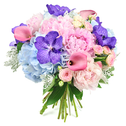 This abundant bouquet, displayed against a pure white background, feels like a moment of stillness and beauty plucked from a Stanmore garden at its summer peak. Central to the design are generous light pink peonies, their many-layered petals unfolding into perfectly rounded blooms that appear almost weightless, yet richly textured. Around them, powder blue hydrangeas create a cool, pillowy base, each head composed of numerous tiny florets that merge into a soft, cloud-like surface, lending a refreshing calm to the arrangement. Weaving through the pastel hues, deep purple Vanda orchids make an immediate impression, their broad petals with darker speckling giving the sense of rare, carefully chosen blossoms that add sophistication and depth. Sleek fuchsia calla lilies rise in graceful arcs, their trumpet-shaped flowers and subtly shaded throats bringing a contemporary, design-led energy to the bouquet. Scattered between these statement blooms, dainty blush pink spray roses nestle close, their miniature, multi-petalled heads adding a fine, romantic detail reminiscent of traditional English cottage flowers. A mix of glossy dark green foliage and silvery, velvety dusty miller leaves wraps around the flowers, enriching the palette with texture and gentle contrast. The stems are neatly gathered at the bottom, the visible tie hinting at a bespoke hand-tied bouquet prepared by a local florist familiar with Stanmore's quiet, leafy streets. The overall impression is of gentle movement and poised elegance, ideal for celebrating engagements, milestone birthdays, or new homes in Stanmore, where residents appreciate both classical beauty and refined, modern floral design.