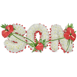 The image presents a carefully designed floral tribute spelling "SON" in large, upright letters, isolated on a clean white background that gives the display an air of calm and clarity. Every letter is filled with tightly packed white chrysanthemums, their neat, petal-rich heads creating a dense, cushiony texture that feels soothing and serene, like a blanket of soft clouds. Around the base and sides of the S, O, and N, a deep red satin ribbon is artfully pleated and ruffled into a scalloped border, catching the light with a gentle sheen. This bold red frame provides a vivid contrast against the white flowers and sharply outlines the curves and angles of each letter. Interspersed through the arrangement are three focal groupings of red anthuriums, their waxy, heart-shaped spathes and strong spadices representing enduring love and devotion. On the upper left of the S, a notable spray of anthuriums and deep green foliage gently arcs over the letter. At the bottom of the O, a single, carefully placed anthurium sits like a quiet, thoughtful accent, while on the upper right of the N, a more substantial cluster of several anthuriums, ferns, and wide leaves provides a final flourish. Slender, arching green leaves run lightly across the chrysanthemums, connecting the red accents and giving a sense of movement and cohesion. Crafted in a style familiar to families arranging funerals in Stanmore, this personalised floral tribute is well suited for placing beside the coffin or at the front of the chapel, offering a heartfelt expression of respect, pride, and love for a much-missed son.