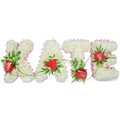 An elegant floral name tribute reads clearly as "KATE", each capital letter shaped from a plush, uniform carpet of small white chrysanthemums whose cushiony heads catch the light and suggest purity and calm. A soft, pale pink ribbon with a fine frilled edge runs along the outer contours of every letter, its gentle hue warming the pristine surface and lending refined definition. Lively clusters of glossy, heart-shaped red anthuriums are nestled into the white base at considered intervals, their waxy spathes and pronounced spadices creating warm, contemporary focal points against the pale palette. Interspersed among the blooms are lush dark-green leaves and feathery fern fronds that add texture, weight and a faint, green fragrance; delicate tendrils and slender vines arc between the letters, visually tying the four forms together and suggesting unity and continuity. The arrangement sits against a bright white background with a soft drop shadow that gives each letter a sculptural, three-dimensional quality - a thoughtful tribute suitable for a funeral or celebration of life in Stanmore, placed with care for viewing in a chapel or at a family home near Canons Park. Prepared with the steady hand of a local florist, this piece balances serenity and warmth: the chrysanthemums' whisper of sweetness, the anthuriums' bold tenderness, and the ribbon's subtle blush combine to express enduring respect and loving remembrance throughout the service.