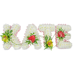 The image shows a beautifully composed sympathy flower arrangement that spells out "KATE" in bold, floral block letters, set against a clean white background to emphasise its detail and craftsmanship. Each capital letter is created from a dense carpet of white chrysanthemums, their soft, petal-rich heads pressed tightly together to give the impression of a plush, seamless surface. Around the outside edge of each letter, a trim of soft pink satin ribbon is neatly gathered, adding a delicate ruffle that softens the silhouette and brings a gentle, affectionate note to the design. Tucked into the cushion of white flowers are striking accent blooms and greenery that lend character and depth. On the left-hand side of the "K" and at the base of the "T", elegant yellow-green cymbidium orchids with deep reddish-brown markings nestle among glossy dark leaves and fine feathery fern, offering a fresh, refined burst of colour. The "A" and "E" each carry a single red anthurium flower, its glossy, heart-shaped spathe and central spadix shining slightly under the light, framed by rich green foliage. Slender green tendrils and grass blades trace graceful arcs between the letters, visually binding them together into one flowing tribute. The overall effect is calm, respectful, and quietly elegant, the sort of bespoke name arrangement families in Stanmore might choose for a funeral cortege, church service, or crematorium farewell. Crafted with the care you would expect from Flowers Stanmore, it transforms the name "KATE" into a tender, floral message of love, remembrance, and lasting connection.