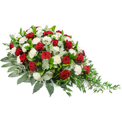 A serene and dignified sympathy spray in red and white is presented on a clean white background, allowing every detail of the design to be clearly seen. The arrangement is long and gently arched, fuller and higher at the left before tapering into a soft point on the right, like a floral echo of a final journey. At its core are deep red roses, their velvety petals closely furled and rich in colour, standing as symbols of enduring love, respect, and sorrow deeply felt. Interwoven among them are many white carnations, each bloom full and ruffled, adding a cushion-like softness and a sense of calm purity. The contrast of red and white is classic and comforting, often chosen for funeral tributes to balance grief with peace. Beneath the blooms lies a supportive bed of green foliage: large, dark leaves fan outward to create structure, while dusty, silvery-green eucalyptus leaves are tucked between flowers, adding depth, gentle movement, and a subtle fresh scent. Towards the right edge, slender stems of lighter green foliage trail gracefully, softening the outline and giving the impression of a natural cascade. The overall effect is both formal and warmly human, as though crafted by a local Stanmore florist for delivery to a nearby chapel, synagogue, or crematorium. You can imagine this spray resting on a casket or memorial table during a service in Stanmore or around Canons Corner, offering a sensitive, beautifully made expression of sympathy and remembrance for family and friends gathered to say goodbye.