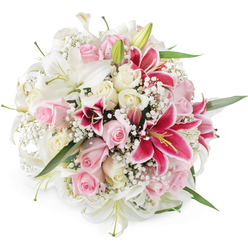 Against a crisp white background, a sumptuous bouquet of lilies, roses, and baby's breath appears as a perfectly rounded, hand-tied arrangement, as though just lifted from the counter of a trusted Stanmore florist. The eye is first drawn to the elegant white lilies, their trumpet-shaped blooms fully open, with smooth petals arching gracefully away from green-tinted centres and softly dusted yellow stamens. Around them, unopened lily buds add height and a sense of gentle anticipation. Interlaced with these are roses in shades of blush pink and warm cream, tightly packed to create a lush, full appearance. Some roses are still in neat, unfurling buds, while others are open and velvety, each layered petal curling slightly at the edge. Vivid Oriental lilies in deep pink and magenta create bold accents throughout, their dramatic petals speckled with darker tones and radiating from prominent golden anthers that glow against the surrounding whites and pastels. Delicate baby's breath, or gypsophila, is scattered generously among the larger blooms, forming airy clusters of tiny white flowers that soften the structure and fill spaces with a light, cloud-like texture. Slim green leaves and stems peek out here and there, adding a refreshing hint of garden foliage, much like the tranquil greenery around Stanmore Country Park. The bright, even lighting enhances the bouquet's colours and textures, making the arrangement feel freshly prepared and ready for delivery. The overall impression is one of elegance and tender emotion, ideal for special moments in Stanmore-whether it is a wedding, a milestone birthday, or a thoughtful gesture sent to a loved one living near Canons Park.