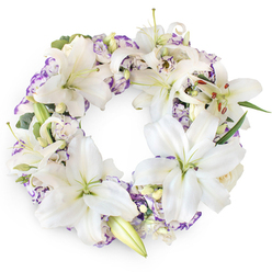 This photograph shows an elegant circular sympathy wreath placed against a pure white backdrop, where every bloom and leaf is clearly defined. The wreath is lavishly composed of large white Oriental lilies, whose broad, silky petals open outward in soft, flowing curves. Many of the lilies are fully bloomed, revealing pale green centres and long stamens dusted with golden-brown pollen, while a scattering of buds promises the gentle progression of time. Interspersed among these luminous lilies are ruffled Lisianthus or Eustoma flowers, their white petals stroked at the edges with delicate shades of lavender and soft purple, which bring a subdued, soothing colour accent to the predominantly white piece. Subtle touches of deep green foliage, including slender leaves and eucalyptus-like stems, weave through the flowers, adding depth and structure without disrupting the wreath's tranquil harmony. The circular shape is perfectly continuous, representing eternity, unbroken love, and the enduring presence of cherished memories, making it an ideal tribute for funerals, cremation services, or memorials in the Stanmore community, perhaps in a chapel near Stanmore Hill. Gentle, diffused lighting bathes the arrangement, emphasizing its lush texture and the thoughtful care of the florist's hand. The impression is one of poised stillness, as though time has paused to honour a life well lived. The image evokes sympathy and respect, offering a sense of quiet support and peace for families and friends gathering to remember a loved one in this leafy corner of North West London.