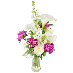Layered textures and a subtle scent story define this bouquet crafted with local sensibility for Stanmore homes. Tall white calla lilies arc upward, their smooth, trumpet-shaped blooms like porcelain dipped in soft light, the pale yellow spadices adding a refined focal point. Behind and between them, an upright spire of white stock introduces delicate, clustered blooms that give the bouquet vertical poise and a soft, billowy volume. Rich magenta peonies punctuate the composition - two generous, fully opened peonies unfurl their plush, ruffled petals across the lower centre while a tighter bud suggests the gradual unfolding of scent and colour. A single creamy white rose sits low and steady, its compact, layered petals offering a quiet, timeless note. Baby's breath (Gypsophila) is woven through as a feathery veil, catching shadow and light to create a feeling of air and lift. Greenery - from narrow fern-like fronds to larger glossy leaves - underpins the flowers with a fresh, verdant backdrop. The arrangement rests in a clear, curved glass vase that reveals the stems and the clean water line, lending an honest, freshly-gathered look. Perfect for marking special moments - anniversaries, new beginnings, or a thoughtful surprise - the bouquet carries a scent reminiscent of early summer. For neighbours near Canons Park or those stepping out at Stanmore Tube, this arrangement is the kind of floral gift we prepare at Flowers Stanmore with an eye for balance, texture, and seasonality.