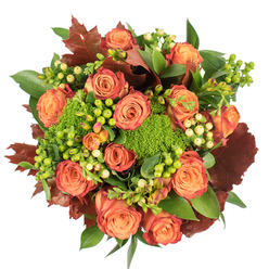 From a top-down perspective against a neutral white plane, this bouquet reads like a compact, autumnal landscape. Numerous large roses dominate the centre, their petals moving from warm peach and coral at the heart to stronger orange and russet tones at the edges, creating a painterly gradient that mimics turning leaves. Sprigs of Green Trick dianthus-rounded, velour-like clusters-nestle close to the roses, adding dense texture and a lively green contrast that feels almost moss-like under fingertips. Scattered throughout are glossy Hypericum berries in two tones: a sharp lime-green that brightens the composition, and a soft, creamy yellow that offers a gentle counterpoint. Rich, dark red-brown foliage with broad lobes is woven through the arrangement, lending an autumnal, almost woodland character and balancing the brighter elements with deeper, grounding color. Fresh green leaves, some broad and shiny, others more delicate and serrated, provide the structural backdrop and amplify the bouquet's lushness. The light is soft and even, highlighting the velvet of petals and the waxy gleam of berries while casting gentle shadows that emphasize depth. The bouquet evokes comforting seasonal rituals-sharing a kitchen table with friends, placing a centrepiece beneath a pendant lamp, or bringing a warm, considered gift to an autumn celebration. Its textures and colours together create a tactile invitation to gather, to pause and enjoy the harvest hues of the season close to home in Stanmore and nearby green spaces.