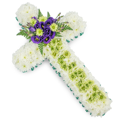 This carefully crafted floral cross tribute, perfect for a funeral or memorial service in Stanmore, lies against a bright white background, its calm design expressing both faith and affection. The entire surface of the cross, from the short horizontal arms to the longer vertical stem, is richly cushioned with compact white chrysanthemums. Their numerous, fine petals overlap to create a soft, almost velveteen texture, suggesting purity, stillness, and the quiet moments of reflection shared with family and friends during a farewell. Encircling the cross is a clean border of vivid green ribbon or neat foliage, which outlines the classic Christian shape with a fresh, modern clarity that would look at home in a church along Marsh Lane or a chapel near Stanmore Hill. At the intersection of the arms, a vivid cluster of flowers forms the focal point. Deep purple lisianthus blooms, luxurious and velvety, are nestled among bright lime green button chrysanthemums, whose rounded, button-like heads lend a cheerful yet respectful lift to the design. Dark green fern fronds radiate gently from behind, softening the edges and adding natural depth. Along the vertical length of the cross, a band of lime green chrysanthemums is inset into the white, with slender, pale decorative wires draped loosely in a subtle lattice pattern that adds delicate movement, like interlacing paths through local woodland. Created with care by an experienced Stanmore florist, this floral cross is a dignified sympathy tribute, embodying remembrance, faith, and the enduring bond of love that remains long after the service has ended.