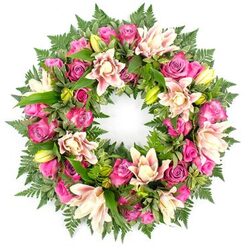 Displayed on a bright white background, this circular floral wreath appears lush and full, its ring completely covered in fresh blooms and greenery. At the heart of the design is a harmonious mix of roses in strong pink tones, from bold magenta and vibrant fuchsia to softer blush shades. The roses are tightly clustered, with petals overlapping in soft spirals; some blossoms are firm and only half-open, while others are wide and generous, their open faces lending a sense of warmth and welcome. Between them, double lilies unfurl in layers of creamy white, pale pink, and delicate peach, their petals slightly frilled and curling back to reveal gentle centres. Scattered among the open lilies are slender, pointed buds in bright lime green, rising above the surrounding blooms like quiet beacons. Supporting this floral abundance is a deep cushion of varied foliage. Fine fern fronds create a textured green halo around the wreath, their feathery leaflets adding movement and softness, while thicker, glossy leaves lie underneath the flowers, giving structure and a sense of depth. The interplay of cool greens and warm pinks creates a balanced, peaceful impression. One can imagine this wreath being prepared with care by Flowers Stanmore, using fresh flowers chosen from trusted suppliers and arranged perhaps after a family consultation in a shop near Canons Park or along Marsh Lane. The neutral background isolates the composition, making it easy to imagine the wreath resting beside a framed photograph at a memorial, adorning the front of a coffin, or placed near the lectern during a service, where it speaks silently of love, gratitude, and shared memories within Stanmore.