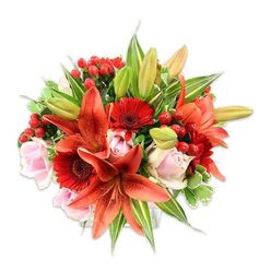 Seen against a pristine white background, this lush hand-tied bouquet reads like an artist's study in warmth and texture, where fiery orange-red Asiatic lilies form the central statement. Several lilies are wide open, their recurved petals dusted with delicate speckles and framed by prominent stamens, while a few still-closed buds promise further unfolding over the next days. Interwoven among the lilies are saturated, crimson Gerbera daisies with distinctive dark centers that provide dramatic focal points and a rhythmic repetition across the arrangement. Soft blush-pink roses-some small, tight buds, others unfurling into layered cups-offer a gentle, romantic counterbalance to the bolder tones. Small, glossy red hypericum berries are tucked into pockets throughout, their round, reflective surfaces adding a jewel-like punctuation and a tactile contrast to the smooth petals. Foliage is generous and varied: broad emerald leaves give a solid backdrop, and lighter variegated leaves introduce airiness and visual texture, supporting the bouquet's full, dome-like shape. The bright, even light accentuates the petals' sheen and the berries' gloss, and a subtle sweet-spicy fragrance seems implied by the mix of lilies and roses. As a composition one might find prepared by Flowers Stanmore for delivery across Stanmore High Street and around Bentley Priory, it communicates celebration, warmth and careful floral technique-ideal for marking birthdays, anniversaries or as a thoughtful surprise for someone who loves bold, uplifting colour.