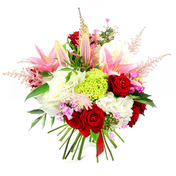 This image showcases an opulent hand-tied bouquet set against a pristine white backdrop, allowing every colour and curve to stand out with clarity, much like an arrangement poised for delivery from a Stanmore florist's workbench. At the heart of the bouquet, sumptuous red roses with plush, velvety petals form deep spirals, creating pockets of rich colour that instantly draw the eye and convey a sense of enduring love. Encircling them, pink lilies add height and drama: some blooms are fully open, their broad petals arching back to reveal gentle speckling and prominent stamens, while others remain as sleek, tapered buds, brushed lightly with green, promising fragrance in the days to come. Voluminous clusters of creamy white, ruffled flowers provide a soft, textural base, reminiscent of fluffy hydrangeas or full carnations, filling out the arrangement and enhancing its rounded, generous shape. Nestled among these, a standout sphere of lime green dianthus introduces a contemporary note, its frilled, grassy surface sparkling with freshness like spring foliage along Stanmore's garden-lined avenues. Wisps of light pink astilbe extend outward, their feathery plumes adding airiness and a gentle, whimsical touch, as if the bouquet is surrounded by a soft blush of mist. Tiny sprigs of fuchsia and lavender filler blooms are scattered throughout, weaving sparks of colour through the design and adding visual interest. Dark green, glossy leaves peek through the blossoms, providing contrast and framing the brighter tones. The stems below are carefully aligned and tied with a refined deep red satin ribbon, confirming the hand-crafted nature of the piece, ideal as a centrepiece or heartfelt gift for celebrations and romantic occasions throughout Stanmore.