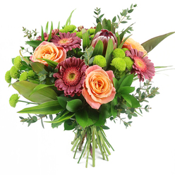 Captured against a pure white backdrop, this hand-tied bouquet radiates warmth and character, much like a thoughtful gift delivered to a doorstep off Stanmore Hill. Voluminous roses in tones of peach, apricot, and soft salmon pink form the main body of the design, their layered petals opening slowly, revealing subtle colour gradients that feel both luxurious and inviting. Interwoven with them are velvety gerbera daisies in rich burgundy and deep magenta, their slim petals fanned out around lighter, textured centres that shimmer under gentle studio lighting. A single, commanding King Protea rises slightly above the other blooms, its sculptural, cone-like head encircled by maroon and dusk-pink bracts that lend an exotic, contemporary edge. Dotted between the larger flowers, clusters of lime-green Santini chrysanthemums sit like tiny buttons of brightness, their rounded forms and dense petals injecting a vibrant, playful rhythm. Surrounding this core of colour is an array of lush foliage: broad, polished leaves create a strong green base, slender strap-like blades lift the eye upward, and soft, rounded eucalyptus leaves add a bluish-silver haze, much like early morning mist across nearby Stanmore Country Park. The stems, clearly visible at the bottom, are tightly bound and evenly trimmed, showcasing the meticulous craftsmanship typical of local Stanmore florists. This bouquet feels perfect for moments of celebration and affection-perhaps a cheerful surprise for a new home near The Broadway or a heartfelt birthday gift sent across HA7-offering a blend of elegance, vibrancy, and modern floral artistry.