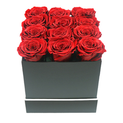 This close-up image captures a square black gift box overflowing with romance: twelve preserved ruby red roses, thoughtfully arranged so that every bloom faces upward in perfect harmony. The roses appear uniform in size and at the same stage of full, open blossom, each flower displaying tightly layered, velvety petals that form intricate spirals in rich crimson tones. Together they fill the top of the box in an orderly three-by-four grid, the rose heads nestled so closely that hardly any gaps are visible, creating the impression of a plush, floral cushion. The box itself is crafted from a smooth, matte black material with crisp corners and a minimal, contemporary look, enhanced by a fine white stripe wrapped neatly around the lower third. This understated detail adds just enough contrast to echo the sophisticated shopfronts you might pass along Church Road in Stanmore. The arrangement is photographed against a pure white backdrop, with soft, diffused light gently illuminating the petals and casting delicate shadows that emphasize their texture and depth. There is no visible branding, ribbon, or additional foliage-only the pure, intense dialogue between red and black, romance and restraint. As a local florist familiar with heartfelt surprises sent across Stanmore and the surrounding residential streets, this design feels ideal for an anniversary, a Valentine's declaration, or a meaningful apology that needs to convey sincerity and permanence, the preserved roses promising to hold their beauty long after the moment has passed.