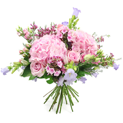 A romantic bouquet of pink and lavender flowers is captured here against a smooth white background, its colours and shapes appearing bright and full, like a fresh delivery arriving to a Stanmore doorstep. At the heart of the design are voluminous heads of blush-pink hydrangea, each one formed from hundreds of tiny, layered petals that merge into soft, rounded domes. Between these hydrangeas, pale pink roses are carefully placed, some fully unfurled to show their spiralling centres, others still in charming bud form, suggesting the arrangement will continue to open and change over time. Rising gently from the bouquet are graceful stems of bell-shaped flowers in pastel lavender and muted purple tones, likely campanula, their delicate cups nodding slightly to give the arrangement height and an airy movement, like blooms caught in a light breeze along Stanmore's leafy streets. Dotted throughout the bouquet are small clusters of deeper fuchsia and vivid pink filler blossoms that evoke waxflower or phlox, adding bright sparks of colour and a fine, almost lacy texture when you imagine looking close. Fresh green foliage wraps around and weaves through the flowers, from broader leaves to slim, budding stems, grounding the soft pinks and purples in a natural, garden-like setting. The stems are bunched neatly at the base in a hand-tied style, ready to slip into a favourite vase in a lounge or conservatory overlooking local gardens. This arrangement suggests gentle celebration and heartfelt care, ideal for marking an anniversary, welcoming a new baby, or sending warm wishes to friends and family across Stanmore and the surrounding area.