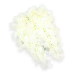 In this image, a large sympathy arrangement in the distinct form of angel wings appears to float against a clean white background, its stillness reminiscent of the peaceful residential streets and green spaces that surround Stanmore. Each wing is intricately composed from a dense field of small white flowers, most likely compact chrysanthemums or dainty spray carnations, which are placed so closely together that they form a velvety, petal-rich surface. The tiny flowerheads are predominantly pure white, yet many reveal soft hints of pale green or buttery yellow at their centres, lending a gentle, organic variation that makes the wings feel alive and tender rather than clinical. The outline of each wing is finely sculpted, curving outward and back in again in a graceful, feather-like shape. Along these outer curves, soft white feathers are layered generously, echoing the natural structure of a bird's wing. The feathers look incredibly light and downy, catching the soft studio lighting so they appear to glow slightly, adding an ethereal quality. A delicate shadow beneath the arrangement creates a sense of depth and subtle three-dimensionality, as though the wings are barely touching the surface. This floral design carries a strong emotional message, ideal for a funeral or memorial service in Stanmore, where families may seek something symbolic and comforting. It suggests an angelic presence watching over a loved one, embodying ideas of peace, purity, and gentle transition. The quiet elegance of the fully white colour scheme and the careful craftsmanship make this tribute a dignified and moving choice to accompany final farewells or to grace a remembrance gathering in a local church or chapel.