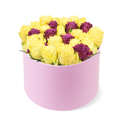 Inside a pale pink, round box, this bouquet makes a bold yet refined statement, balancing sunlit yellow blooms with regal burgundy accents. The soft, rounded silhouette houses a dense cluster of roses, their petals unfurling in tidy spirals as if caught by a morning breeze. The yellows glow with lively energy, reminiscent of sunlit hedges along Stanmore High Street, while the burgundy blooms lend depth, elegance, and a touch of mystery. The arrangement is plush and tightly packed, a testament to the designer's skill in shaping form and presence within a compact space. The box's soft-touch finish adds a luxurious aura, inviting fingers to trace its velvet-like surface. The blooms form a full, rounded dome, nearly tipping over the rim with confident abundance. Only a whisper of green foliage appears, ensuring the petals stay the star of the story. Placed on a clean white background, the colour balance reads modern and premium. For birthdays, anniversaries, or a grand gesture in Stanmore and the Canons Park area, this piece conveys celebration and thoughtfulness with every gleaming petal, and it's well-suited to same-day delivery to brighten someone's day.