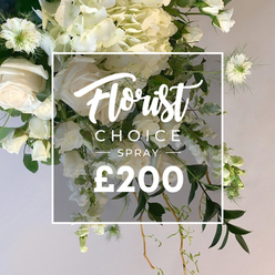 This floral spray is a study in tranquility and refinement, a gentle embrace of white blooms set against verdant greens. Plush hydrangea provide velvety mass, while classic white roses offer elegance, their petals ranging from tightly closed buds to fully opened blooms. A chorus of airy white astrantia threads through the arrangement, punctuating with delicate star-like silhouettes. Wisps of foliage and curling vines spill over the edge, their movement echoing Stanmore's winding lanes and the morning light catching on leaf tips. Light falls softly across the petals, catching droplets and highlighting the pristine whiteness against the freshest greens. The bouquet feels designed for quiet remembrance or refined celebration, a living message of love and memory. At the center, a crisp white square overlays the bouquet, with Florist Choice in graceful script, CHOICE SPRAY in bold uppercase, and the price ?200 beneath. This image signals high-quality, bespoke florals from a Stanmore florist, ideal for sympathy tributes, anniversaries, or a refined gift for a friend in the area. It would suit same-day delivery across Stanmore, Edgware, and surrounding streets, bringing a moment of peaceful beauty to a doorstep or a chapel interior.