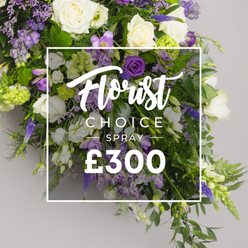 A bright studio scene framed by a soft grey background features Flowers Stanmore presenting a refined Florist CHOICE SPRAY. The arrangement reads as a generous, balanced spray of white and purple, anchored by ivory roses whose classic beauty anchors the composition. Surrounding them are pristine white lisianthus and slender white freesias, their textures lending airiness and a clean, uplifting scent. The purples provide a dignified counterpoint: deep purple lisianthus and lavender-hued eustoma blend with carefully placed darker accents, while vertical highlights from veronica or delphinium contribute a regal lift. Lavender limonium threads weave through the bouquet, adding delicate texture, and the foliage-fern fronds with glossy greens-offers a natural, cascading rhythm. Light green viburnum clusters introduce a fresh brightness, harmonising the greens with the floral whites and purples. A crisp white overlay sits over the center, presenting Florist CHOICE SPRAY in white typography; Florist's script opens the line, followed by CHOICE SPRAY in bold uppercase, and the price ?300 in bold white numerals beneath. The image communicates a premium, designer option from Flowers Stanmore, well suited to sympathy sprays, funeral tributes, or a statement gift. Available for same-day delivery across Stanmore, Canons Park, and nearby NW London communities, this piece embodies local care, seasonal freshness, and professional craftsmanship.
