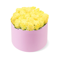 In this image, a lush cluster of yellow roses overflows from a pastel pink cylindrical hatbox, creating an impression of abundant, sunlit blooms that could easily brighten a home in Stanmore. The box itself is smooth and flawlessly round, with a soft, matte finish that calls to mind velvet or fine paper. Its gentle blush-pink tone adds a touch of romance and femininity while remaining understated. Sitting upright against a pure white background, the box provides a stable base for approximately two dozen roses that are packed so tightly together they form an almost seamless dome of petals. Each rose appears freshly cut, with velvety petals that curl outward in an elegant spiral, transitioning from a creamy yellow centre to a more vibrant golden rim. Small hints of lush green foliage peek out in places, suggesting natural stems and careful hand-arrangement inside the box. The lighting is bright but diffused, creating no strong shadows and allowing the yellow tones to glow warmly, reminiscent of afternoon light filtering through trees on a walk around Stanmore Country Park. There are no extra embellishments, ribbons, or visible stems, just the harmonious contrast of pink and yellow, accented by touches of green. The overall mood is celebratory yet gentle, making the arrangement suitable for birthdays, new baby arrivals, or warm congratulations sent to addresses from Marsh Lane to Canons Park. Every aspect-from the compact dome shape to the precise spacing of the blooms-speaks of expert floral craftsmanship and a desire to create a gift that feels both luxurious and heartfelt.