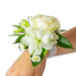 An elegant hand-tied wrist corsage photographed on a light-skinned wrist against a bright white field, evoking the quiet preparation before a special day in Stanmore. The focal point is a creamy ivory rose whose velvety petals open in soft layers, reflecting gentle studio light and creating a feeling of poised grace. Just below and to the left, a larger trumpet-like white bloom - likely an Alstroemeria with a soft lime-green throat - introduces a hint of botanical complexity and highlights the arrangement's layered design. Fresh green buds peek through, suggesting future blossom and movement, while delicate sprays of Baby's Breath float like tiny white clouds, adding a feathery texture that softens the silhouette. A cluster of small white daisies with sunny yellow centers adds playful contrast and a touch of warmth near the wrist. Lush, deep-green foliage with smooth, glossy surfaces frames each bloom, providing a vivid, natural backdrop that intensifies the flowers' purity. The piece is mounted on a chic multi-strand faux-pearl bracelet; the beads are evenly round and luminous, wrapping the wrist with a cool, bead-smooth touch that balances the soft petals. As a local Stanmore florist we craft corsages like this in our shop near Stanmore Broadway, choosing blooms delivered fresh each morning so the scent remains clean and understated. Suited for weddings, proms or anniversary celebrations, this corsage reads as timeless yet approachable - a small floral promise for any significant moment.