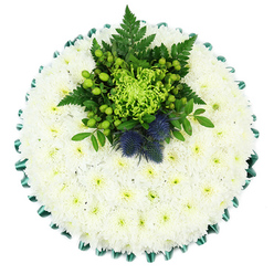 This top-down photograph captures a round sympathy cushion in all its detail, laid out against a pure white background so that the colours and textures are clear and uncluttered. The majority of the design is a dense cushion of white chrysanthemums, likely spray or cushion varieties, placed so closely together that they form a seamless, velvety surface. Each flower's petals are soft and finely shaped, radiating from a tiny central eye of pale yellow-green, giving the whole piece a sense of purity tempered by gentle warmth. Around the edge, a rich emerald satin ribbon is folded into precise, scalloped loops that frame the cushion with a luxurious feel, adding depth and a refined border. Sitting proud near the top centre of the arrangement is a fresh green focal cluster. Here, a bold lime-green spider chrysanthemum unfurls its narrow petals like delicate tendrils. It is surrounded by glossy green Hypericum berries that dot the cluster with small spheres of colour, while layers of deep green foliage and airy fern fronds weave between them, adding both structure and softness. Standing out clearly against these greens are two small Scottish thistles, their rounded flower heads in muted blue-purple and their spiky forms lending character and a distinctive, slightly wild beauty. The overall impression is of a cool, calm tribute that feels both modern and traditional-very much in keeping with the quiet, residential character of Stanmore and its tree-lined streets. This is the kind of carefully arranged funeral cushion a family might choose when they wish to send condolences that speak of serenity, strength, and a subtle nod to Scottish ties.