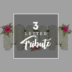 In this calm, studio-lit image, a custom floral arrangement stands out against a smooth grey backdrop, presenting a "3 Letter Tribute" that spells the word "MOM" with quiet elegance. The three letters are formed from a dense covering of white chrysanthemums, each bloom set closely beside the next so that the surface appears soft and continuous, like a blanket of petals. Subtle variations of cream and pure white give depth to the texture, while the outlines of the M-O-M are clean and well-structured, reflecting meticulous floral craftsmanship. On the upper left arm of the first M, a vibrant focal point appears in the form of a lush fuchsia rose, accompanied by lighter pink rosebuds and surrounded by delicate green fern fronds that gently cascade along the edge of the letter. The central O has been kept mostly simple and serene, with just a single blush-pink rose resting at its base, as if to underscore a personal memory. The second M repeats the floral accent on its upper right side, mirroring the bold fuchsia rose, pastel buds, and feathery foliage to create balance across the tribute. A crisp white rectangular frame overlays the central portion of the letters, containing white lettering: the number "3" and the word "LETTER" in a straightforward, modern font, with the word "Tribute" beneath, written in a graceful script that suggests a handwritten dedication. At the margins of the image, the sides of additional chrysanthemum letters peek into view, also embellished with pink roses and green leaves, hinting at other words or names that could be arranged for a funeral service. The atmosphere is respectful and intimate, evocative of the personalised sympathy flowers families around Stanmore, from quiet roads off Uxbridge Road to homes near Bentley Priory, might choose when commemorating a much-loved mum with gentle colour and timeless white blooms.
