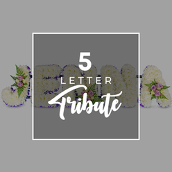 In this carefully lit studio photograph, a bespoke five-letter funeral tribute rests on a soft, pale grey background, the neutral tone allowing the intricate floral work to command full attention, just as it would on the catafalque of a Stanmore service. The letters are large, upright forms laid horizontally for the picture, each completely blanketed with immaculate white chrysanthemums. Their compact, rounded heads are tightly woven together, creating a thick, cushion-like texture that appears both luxurious and tender. A narrow border of deep purple satin ribbon follows the contours of each letter, defining their shapes with a rich band of colour that speaks of dignity and respect, the gentle shine of the ribbon offering a quiet highlight against the matte petals. Dotted along the letters are small posies of accent blooms: clusters of pale pink and lilac roses, tiny mauve buds, and feathers of fern and other greenery that rise slightly above the chrysanthemum base. These details lend depth and a soft hint of colour, evoking affection and remembrance rather than sorrow. The shapes visible in the arrangement suggest individual letters forming a partial name - a prominent "J," followed by an "O," glimpses of "H" and "N," and an "A" at the far right - illustrating the flexibility to spell out different five-letter words or names. Centered over the tribute is a square panel of slightly darker grey, edged with a neat white border and bearing the inscription "5 LETTER" in bold white capitals above "Tribute" in an elegant script font. The image as a whole conveys the calm, composed atmosphere of a farewell in Stanmore, with flowers designed to embody love, respect, and a deeply personal goodbye.