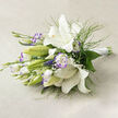 Presented horizontally against a soft beige linen backdrop, this bouquet reads as a study in refined contrasts and soft summer light. At its centre, white lilies open generously: satin-smooth petals curve back to expose warm gold stamens and the tiny dark specks that give each bloom personality, while a handful of pale green unopened buds promise further bloom. Interspersed throughout are white lisianthus, their ruffled edges kissed with a faint lavender blush that brings a delicate counterpoint to the lilies' purity-like a whisper of colour glimpsed along the edge of a familiar Stanmore High Street shopfront. Textural depth comes from feathery, asparagus-like greenery and larger glossy leaves that ground the composition, while clusters of baby's breath add an ethereal, cloud-like quality above the stems. The bouquet is gathered and secured on the right with a neat white satin ribbon, the tidy wrap signalling a hand-tied finish made for carrying or placing on a table. Soft shadows and natural daylight accentuate petal translucence and the gentle layering of foliage, evoking the fresh, calming atmosphere of a local weekend market or a stroll through Bentley Priory. This arrangement suits weddings, quiet celebrations, or as a thoughtful gift delivered across Stanmore and neighbouring Pinner-balanced, fragrant, and crafted to convey tenderness without fuss.