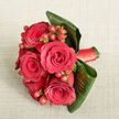 Captured from a high angle, this bouquet features a harmonious gathering of deep coral and blush pink roses accented by glossy hypericum berries, all framed by dramatic aspidistra leaves and placed on a light, subtly textured fabric background reminiscent of a neutral table setting in Stanmore. At its heart, the roses are full and velvety, each bloom opening into a perfect spiral that reveals layer upon layer of gently curved petals. The colours vary from rich, almost sunset coral to delicate, powdery pink, often blending together in a single flower so that the centre appears deeper and the outer petals soften to a gentle blush. Intertwined with the roses are clusters of small, rounded hypericum berries in warm, blushing tones that mirror the petals' palette. Their smooth, polished skins catch the light, adding sparkling points of interest and a tactile contrast against the more matte texture of the rose petals. Surrounding the flowers, bold aspidistra leaves in deep, glossy green sweep around the bouquet in broad, sculpted curves. These leaves give the arrangement a contemporary feel, creating a strong, elegant outline that frames the softness of the blooms without overshadowing them. The stems are bound with a satin ribbon in a warm, complementary shade, wrapped neatly and firmly to provide a tidy, graceful handle that suggests expert craftsmanship from a local florist familiar with Stanmore weddings and celebrations. The lighting is soft and evenly spread, enhancing the natural vibrancy of the colours while allowing the neutral background to remain calm and understated. This bouquet seems perfectly suited to a romantic Stanmore wedding near Bentley Priory, an engagement celebration in a home close to Stanmore Broadway, or a meaningful anniversary gift delivered to loved ones who appreciate designs that blend passion with modern elegance.
