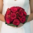 A close-up, eye-level photograph shows a bride from the chest down, standing quietly in her wedding dress and cradling a sumptuous red rose bouquet, as though she has just stepped out of a Stanmore church or registry office. The compact, perfectly rounded arrangement is made almost entirely of velvety deep red roses, each bloom nestled tightly against the next so that no gaps break the rich, crimson dome. Some roses are still slightly closed, their petals cupped and protective, while others are fully open, revealing the spiral swirl of layered petals that feel almost satin-smooth to the touch. Threaded through this sea of red are clusters of bright scarlet hypericum berries, like tiny polished beads, adding playful pops of texture and a slightly different shade of red that keeps the design visually alive. Around the base, broad, glossy dark green leaves are folded and wrapped into a neat collar, giving structure to the bouquet and framing the roses with a clean, architectural line. The bride's hands are gently supporting the stems from beneath, her nails trimmed and subtly manicured, emphasising the sense of care and calm anticipation. Her classic white gown, likely chosen in one of the bridal boutiques around Stanmore Broadway, features delicate lace on the bodice and soft flowing fabric over the skirt, which catches the soft, even light. The neutral, blurred background allows every petal, berry, and leaf to stand out, so the bouquet becomes the pure focus. The overall mood is intensely romantic and timeless, ideal for a winter or late-autumn Stanmore wedding, where the rich red and green palette echoes both passion and tradition.