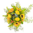 This eye-catching bouquet, assembled in Stanmore, bursts with the golden cheer of sunflower and the soft elegance of yellow rose, calling to mind the sunlit lawns and leafy avenues near Stanmore Place. The bouquet's centerpiece is the striking sunflower-deep brown core encircled by luminous petals-echoing the feel of a local summer fair. Nestled close are plush, tightly wound yellow roses, their luxurious texture offering a sense of comfort and optimism. Small flashes of orange-red, perhaps seasonal berries or accent flowers, brighten the palette with playful contrast. Delicate sprays of asparagus fern extend in all directions like joyous fireworks, providing an airy, whimsical frame. Cool eucalyptus leaves peek through, their silvery sheen adding a modern touch that offsets the warmth of the yellows and oranges. Framed against crisp white, every bloom and leaf stands out, their freshness apparent as if hand-gathered from a Stanmore garden moments before. The bouquet's scent carries notes of honeyed rose, tender greens, and hint of eucalyptus, promising to uplift and calm in equal measure. Ideal for birthdays, thank-you gifts, or bringing a flash of sunlight indoors, this arrangement is a tribute to Stanmore's natural beauty and the attentive skill of its local florists.