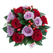 From a slightly top-down view this hand-tied bouquet reads like a love letter in bloom: a dense, dome-shaped cluster of roughly ten to fifteen fully opened roses where deep, velvety crimson rubs shoulders with soft lavender-mauve petals. Each rose shows a perfectly spiralled center and layered folds that catch a soft, diffuse light, creating subtle highlights and cool shadows across the ruffled surfaces. Between the blooms, glossy dark-green foliage-reminiscent of ruscus-forms a smooth, supportive nest, its sheen giving the arrangement depth and structure. Scattered through the composition are dozens of small orange-red rose hips, their firm, bead-like shapes and lively colour adding a woodland, seasonal accent that feels at once wild and deliberately placed. Near the bottom centre a small white gift tag peeks out from beneath the blooms; the single word flower is written in a playful, elegant red script, a personal flourish that suggests a thoughtful gift meant to be opened and savoured. The bouquet exhales a muted fragrance in the imagination: damp garden earth mingling with sweet petal nectar, a scent that would suit a quiet anniversary dinner or a candlelit table in a Stanmore home. The overall mood balances passion and calm-the crimson speaking of devotion, the lavender of serenity-making it fitting for romantic milestones, reconciliations, or simply to offer comfort. I picture this arranged freshly on Stanmore Broadway or delivered to a flat near Stanmore Common, its colours catching morning light and warming a small room with a quietly celebratory presence.