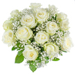 A serene, hand-tied bouquet of fifteen to twenty creamy white roses captured against a seamless white backdrop, each bloom ranging from tightly furled buds to gently opening heads that reveal soft, satin-like petals. A subtle pale green tinge marks some outer guard petals, a fresh sign that these roses were recently cut and carefully conditioned. Between and around the larger rose heads float countless tiny white gypsophila florets - baby's breath - forming an airy, cloud-like veil that softens the composition and lends a delicate, almost snowy texture. Fresh, mid-green rose foliage peeks through, its glossy leaves providing a verdant frame that makes the white petals appear even more luminous. The stems are gathered into a classic rounded dome, a symmetrical silhouette favoured for weddings, sympathy tributes, and timeless gifts; the high-key studio lighting emphasizes the velvety surface of each petal and the fine, powdery edges where light grazes the blooms. As a florist who works in Stanmore, I think of placing this arrangement on a mantel in a home near Stanmore High Street or as a quiet, dignified display for a remembrance service at Stanmore Park - its calm fragrance and gentle palette suggest peace, purity, and hopeful beginnings. The overall feeling is one of understated luxury and thoughtful care: tactile, fragrant, and composed with an experienced hand so that every stem contributes to a message of solace or celebration in equal measure.