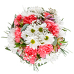 This bouquet is a radiant ode to Stanmore's blooming seasons, thoughtfully arranged to mirror the community's serene gardens and cheerful living. Overhead, crisp white daisies with sunlit green centers shine in companionship with lush, coral-pink carnations whose petal ruffles invite touch and visual delight. Starry sprays of baby's breath dance throughout the arrangement, casting a veil of softness that gently blurs the lines between each blossom, much like the early morning mists of Stanmore's open commons. Slender buds-traced with mauve and blush-peek from the greenery, quietly promising new blossoms and adding a subtle artistic accent to the composition. Eucalyptus leaves with their soft silver hues and arching green foliage offer support, cool contrast, and a scent reminiscent of Stanmore's nearby woodlands. The bouquet feels abundant yet harmoniously balanced-expertly rounded and perfectly suited to brighten any room, convey gratitude, or celebrate life's little victories. Every element reflects the care, artistry, and local expertise found at Flowers Stanmore, making this arrangement not only a visual delight but a sincere expression of happiness and renewal fit for delivery throughout Stanmore.