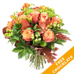 A hand-tied autumn bouquet photographed against a clear white backdrop, the composition designed to celebrate the warmth of the season. At the heart of the arrangement sit large, full-headed roses whose petals graduate from soft peach and apricot at their centers through warm coral to deeper russet and burnt-orange edges, each bloom layered like a small painter's study. Bright orange and yellow freesia punctuate the group with slender stems and delicate, trumpet-shaped blooms that lift the arrangement with lightness and a faint, honeyed scent. Rich, glossy dark-green leaves and finer chartreuse sprigs form a verdant cradle, their varied textures-broad matte foliage beside slender shiny blades-framing the roses and adding shadow for depth. Inserted throughout are rust-red oak leaves whose lobed silhouettes read unmistakably of fall, and clusters of lime-green hypericum berries that introduce a cheerful, tactile contrast. Tightly packed bright green Santini-style florets or similar textured fillers give a fresh, almost dewy brightness amid the warm tones. The stems are neatly trimmed, visible at the base and bound with natural jute twine, signaling a hand-gathered bouquet ready for a vase on a dining table or mantel. Soft studio light caresses the petals, picking out velvety surfaces and casting subtle shadows that enhance the sense of depth and tactility. A vivid diagonal orange banner in the lower right overlays the photo, the words FREE CHOCOLATE in bold white suggesting a seasonal add-on. This arrangement evokes Thanksgiving tables, cosy Stanmore evenings, or a thoughtful birthday gift for someone who loves the changing season.