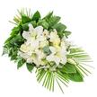 A dignified white and green funeral spray stretches horizontally across a bright white background, fuller and rounded at the upper left before narrowing to a pointed tip at the lower right, like a soft, flowing arrow of remembrance. The central feature is a cluster of large white lilies, their petals open and gently arched, revealing smooth interiors and pale, softly coloured stamens, with a few elegant buds rising above to add height and an understated sense of continuation. Nestled among the lilies are creamy white roses and ruffled carnations, their layered petals overlapping to create a rich yet gentle texture that feels soothing to the eye. White Gerbera-style blooms with discreet centres are scattered through the design, bringing a fresh, modern accent, while small sprays of tiny white filler flowers drift between stems, lightening the composition and adding fine, lacy detail. The foliage beneath and around the flowers is lush and varied: broad, deep green leaves form a strong base, while light, feathery fern fronds soften the outline and add a touch of natural movement. Rounded eucalyptus leaves in muted green-blue shades provide quiet contrast, their softer tones balancing the richer greens. From the lower right margin, a fan of long, slender palm fronds extends gracefully outward, reinforcing the spray's classic funeral shape and guiding the viewer's gaze along its length. The overall mood is one of peace, reverence, and calm reflection, similar to the stillness one might find wandering the quieter paths near Stanmore's churches or local cemeteries. Designed as a one-sided display for placement beside a coffin, on a stand, or at the graveside, this floral tribute offers a heartfelt, understated way to honour a life and share sympathy within the Stanmore community.
