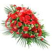 A stately red casket spray is presented against a crisp white background, its elongated shape and harmonious colour palette evoking a sense of solemn grace, as if prepared for a farewell in one of Stanmore's peaceful chapels. The arrangement is densely layered at the centre, where sumptuous red roses form a focal cluster, some just beginning to open with petals curling gently at the edges, others fully unfurled to reveal their lush, velvety hearts. Around them, red carnations gather in generous groups, their many ruffled petals giving the spray a softened, almost cloud-like texture that feels comforting and warm. Interspersed are several red gerbera daisies, whose broad, open faces and contrasting dark centres provide a bolder, more contemporary accent, breaking the surface of the design with bursts of clear shape and structure. Dotted between the red blooms, tiny white filler flowers-resembling baby's breath or very small chrysanthemums-appear like soft flecks of light, adding delicacy and preventing the colour scheme from becoming too heavy. At the upper centre, a wide band of red satin ribbon is fashioned into a full, multi-looped bow, its glossy finish catching the light, with long tails trailing gracefully down through the flowers, unifying the length of the spray. The tribute is edged with an abundant collar of greenery: smooth, arching palm leaves fan outward to form the overall silhouette, while dense, darker green foliage, possibly salal or ruscus, fills in beneath the blooms to create a rich, verdant underpinning. The overall effect is both dignified and deeply expressive, like a loving farewell arranged by Flowers Stanmore for a family saying goodbye, and would sit beautifully atop a casket or as a central floral statement at a memorial service in the Stanmore area.