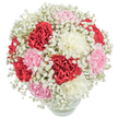 There's a gentle poetry in this Stanmore bouquet-a harmonious fusion of lush, ruffled carnations in passionate deep red, soft blush pink, and serene creamy white, cradled by a halo of delicate baby's breath. Each petal is rich with texture, evoking memories of cool morning breezes by the green spaces near Stanmore's heart. Baby's breath twinkles through the arrangement like fine lace, softening the vibrancy of the carnations and lending an ethereal, almost celestial glow. The blooms and airy gypsophila are thoughtfully arranged into a nearly perfect sphere, their fullness captured from a vantage above, all nestled in a simple glass vase that quietly reveals the abundant green stems and clear, life-giving water below. The pristine white backdrop and bright, consistent illumination infuse the image with freshness-each color brought into sharp relief as if the flowers have just arrived from a local Stanmore florist, ready to spread joy and affection. Whether conveying deepest thanks, adoration, or marking a memorable day, this bouquet serves as a loving embrace-a fragrant, visual celebration of connection in the Stanmore community, crafted for beauty and lasting sentiment.