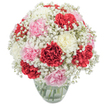 This bouquet, thoughtfully arranged by a local Stanmore florist and glowing beneath soft daylight, brings together classic carnations in rich red, creamy white, and blush pink-each flower's ruffled surface a gentle celebration in itself. Wisps of baby's breath entwine every carnation, the dainty, cloudlike blooms lending a floating radiance that recalls the lightness of early walks near Stanmore Marshes. The bouquet forms a perfect, dense globe, its composition at once reassuring and joyful, ideal for sharing as a heartfelt gift or gracing an entrance hall along Dennis Lane or The Broadway. Displayed in a minimalist clear vase, the green stems and cool water beneath add structural freshness and quiet elegance. The mood is warm and affirming; the gentle blend of subtle carnation spice and dewy greenery wafts softly, mirroring the promise of a new season in local gardens. Every petal, every cluster of gypsophila seems placed to inspire delight-making this arrangement an exquisite choice for birthdays, anniversaries, or thank yous, connecting the recipient to the caring hands and vibrant spirit of Stanmore itself.