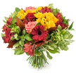 A hand-tied autumn bouquet sits against a pristine white background, its rounded silhouette dense with warm, harvest tones. At first glance the eye is drawn to saturated burgundy and deep crimson blooms - broad-petalled Gerbera daisies with their dark, raised centers and velvety red roses, some opened to reveal layered petals and others kept as tight, elegant buds. These strong reds are brightened by abundant clusters of small, sunny yellow spray chrysanthemums that add a cheerful, almost jubilant texture, while a handful of coral-pink garden roses soften the palette with their gentle blush and ruffled faces. Slim, star-shaped red-and-orange alstroemeria threads through the composition, their speckled petals lending delicate movement and a subtle intricacy to the mix.

The bouquet is richly framed by an assortment of foliage: glossy dark-green leaves form a lush backdrop, lighter, slightly variegated greenery lifts the arrangement, and several large, lobed leaves in reddish-brown and bronze are tucked in to underscore the unmistakable autumn mood. The stems are neatly gathered and visible at the base, a fresh bundle of green stalks that confirms the classic hand-tied technique. Under soft natural light the petals seem to glow and a faint, honeyed floral scent feels implied - the comforting aroma of roses and chrysanthemums. This design reads as both celebratory and intimate, perfect for harvest-season centrepieces, a warm seasonal gift, or to bring the amber calm of fall into a living room. A florist's careful balance of colour, texture, and form makes this bouquet quietly confident and inviting, the sort of arrangement that welcomes conversation and seasonal reflection.