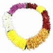 The image shows a single, beautifully composed floral lei arranged in a closed oval shape on a clean, white surface, its smooth outline and even thickness suggesting careful, professional hands at work, like those at Flowers Stanmore. The lei is crafted from artificial flowers that mimic the form of small chrysanthemums, each bloom round and generous, with ruffled layers of petals creating a plush, tactile texture all the way around. The colour progression is deliberate and soothing: starting at the upper left, a band of deep, royal purple blossoms flows into a pristine section of crisp white, which then gives way to a radiant stretch of bright yellow. This bright phase eases into a warmer, golden-yellow band, hinting at a more mellow, amber tone like sunlight in late afternoon over Bentley Priory Nature Reserve. Continuing clockwise, the colours deepen into a rich, reddish-brown and maroon segment, adding a quietly dignified, almost contemplative feeling. The circle is then completed with a final, smaller burst of bright yellow, reconnecting the viewer to the earlier light and optimism. Here and there, tiny dark green leaf-like accents peek from between the colour blocks, giving a subtle impression of foliage and revealing the structure of the lei. A soft, barely-there shadow beneath the oval lifts it slightly from the background, making the ring stand out clearly. This floral lei conveys both celebration and solemn respect, making it an appropriate choice for a funeral tribute in Stanmore, where families often look for floral pieces that honour a loved one's spirit while offering gentle comfort to those gathered in farewell.