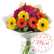 This clean, high-contrast image showcases a colourful gerbera daisy bouquet and a Best Mum balloon styled as a complete, ready-to-deliver gift, perfect for homes and celebrations around Stanmore. In the centre, a rounded hand-tied arrangement of about a dozen gerbera blooms sits upright in a simple glass vase. The flowers are fully open, their characteristic flat petals spreading out from dark central disks that bring focus to each head. Colours range from bright, buttery yellow to vivid orange and rich magenta-fuchsia, arranged in a way that makes the bouquet feel both lively and balanced, like a pocket of sunshine on a Stanmore windowsill. Short stems of deep green foliage peek between the flowers, breaking up the warm tones and adding a sense of natural texture. The stems are wrapped in an inner layer of crinkled brown kraft paper, which gives the design an earthy, rustic charm, and then encased in a clear, glossy cellophane that catches the light in soft reflections. Around the gathered stems, just above the vase's rim, a length of natural twine is tied neatly, reinforcing the handmade, florist-crafted character of the piece. The vase itself is tall and cylindrical, filled with clear water that allows the straight green stems to be seen from top to bottom. To the lower right, a round white foil balloon rests gently against the bouquet. The balloon is sprinkled with metallic gold dots, bright pink confetti spots, and tiny heart shapes, all radiating from the centre, where the words Best Mum are written in flowing pink script. Together, the vibrant bouquet and affectionate balloon embody the warmth of a Mother's Day surprise or a birthday delivery in Stanmore, conveying joy, admiration, and heartfelt thanks in a single, colourful gesture.