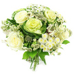 Captured against a bright white background, this hand-tied bouquet in white and green exudes calm elegance and modern charm. Several fully opened roses in shades of ivory and soft cream form the heart of the arrangement, their layered, velvety petals creating a sense of fullness and quiet luxury. Nestled closely beside them, ornamental cabbage heads provide a striking contrast, with deep green outer leaves folding in towards tightly ruffled centres of pale lime and yellow-green, adding texture and a contemporary garden feel. Throughout the bouquet, clusters of miniature white chrysanthemums and daisy-like flowers with fresh yellow or greenish eyes bring a gentle brightness, reminiscent of small, sunlit blossoms seen in the green spaces around Stanmore. Fine, starry filler flowers, similar to pale astrantia, rise delicately on slender stems, their intricate, clustered florets lending an airy, slightly wild touch, as though freshly gathered from a nearby border. White alstroemeria blooms appear here and there, their elongated petals and subtle streaks adding movement and a hint of understated pattern. The entire design is embraced by lush greenery in a spectrum of greens, from smooth, broad leaves to more delicate textures, which frame the paler flowers and give the bouquet a naturally rounded, abundant profile. At the base, the stems are cleanly aligned and firmly tied, ready to slip into a vase in a Stanmore home or be delivered as a thoughtful gift for a birthday, engagement, or sympathy gesture. The overall impression is of freshness, serenity, and refined simplicity, a bouquet that feels perfectly at home in the relaxed, leafy surroundings of Stanmore.