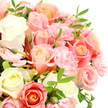 A high-quality close-up shows a lush, hand-tied bouquet of roses and carnations, composed in a soothing gradient of whites, creams, and pastel pinks with hints of peach and coral. The roses are the stars, many fully opened to display their intricate, spiralling centres, while others remain more cupped and modest, hinting at petals still to unfold. Their colours are subtle yet varied, from almost porcelain white through hints of buttercream, then into blush and warm peach, like a soft Stanmore sunset reflected in petals. Between them, numerous light pink carnations cluster together, each bloom made up of countless tiny, crimped petals that add a rippled, ruffled texture and make the bouquet appear especially plush. Slender stems of dark, glossy green foliage thread in and out of the blossoms, creating contrast, depth, and a sense of natural movement, as if a breeze from Stanmore Country Park has just brushed past. Scattered among the open flowers are a few tight buds, small and neat, promising new blooms and reinforcing the impression of freshness. The bouquet is set against a brilliant white background that eliminates distractions and focuses your attention on the interplay of colours and textures, much like a showcase piece in a Stanmore florist's window. The overall mood is one of tender sophistication and quiet joy, suitable for intimate weddings, anniversaries, or compassionate gestures delivered to homes and hospitals across the HA7 area, where a soft, imagined fragrance of roses and carnations might gently fill the room.
